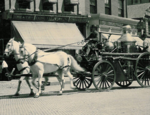 1885-1915: The Horses of the Stamford Department